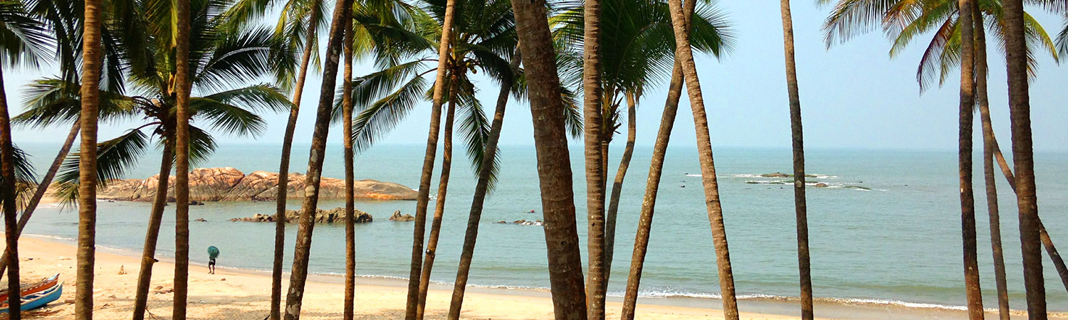 Pure-Kerala-Tours-banner-palms-beach