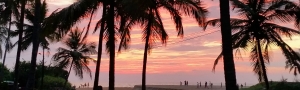 Pure-Kerala-Tours-banner-sunset-palms